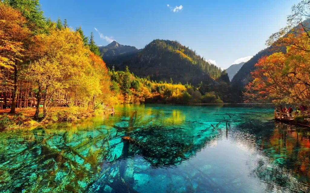 Five-Flower Lake in Jiuzhaigou National Park, China, a crystal-clear, multicolored lake with vibrant turquoise and emerald hues, reflecting surrounding forested mountains and fallen tree trunks beneath the surface.