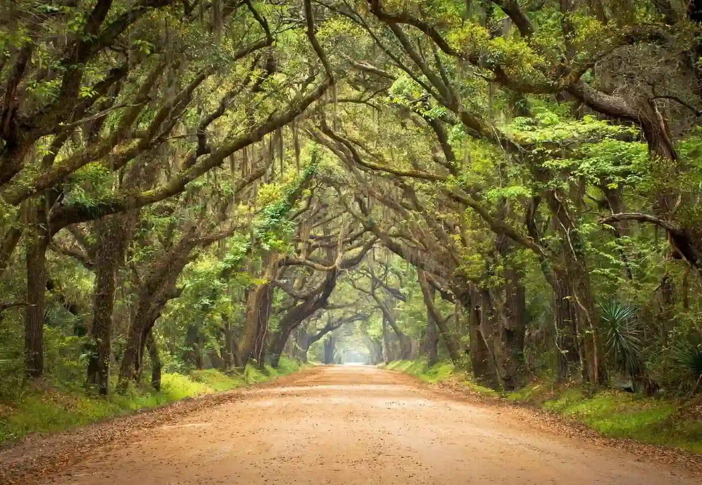 This image has an empty alt attribute; its file name is Bizarre-Philosophy-Themed-Park-South-Carolina-1.webp