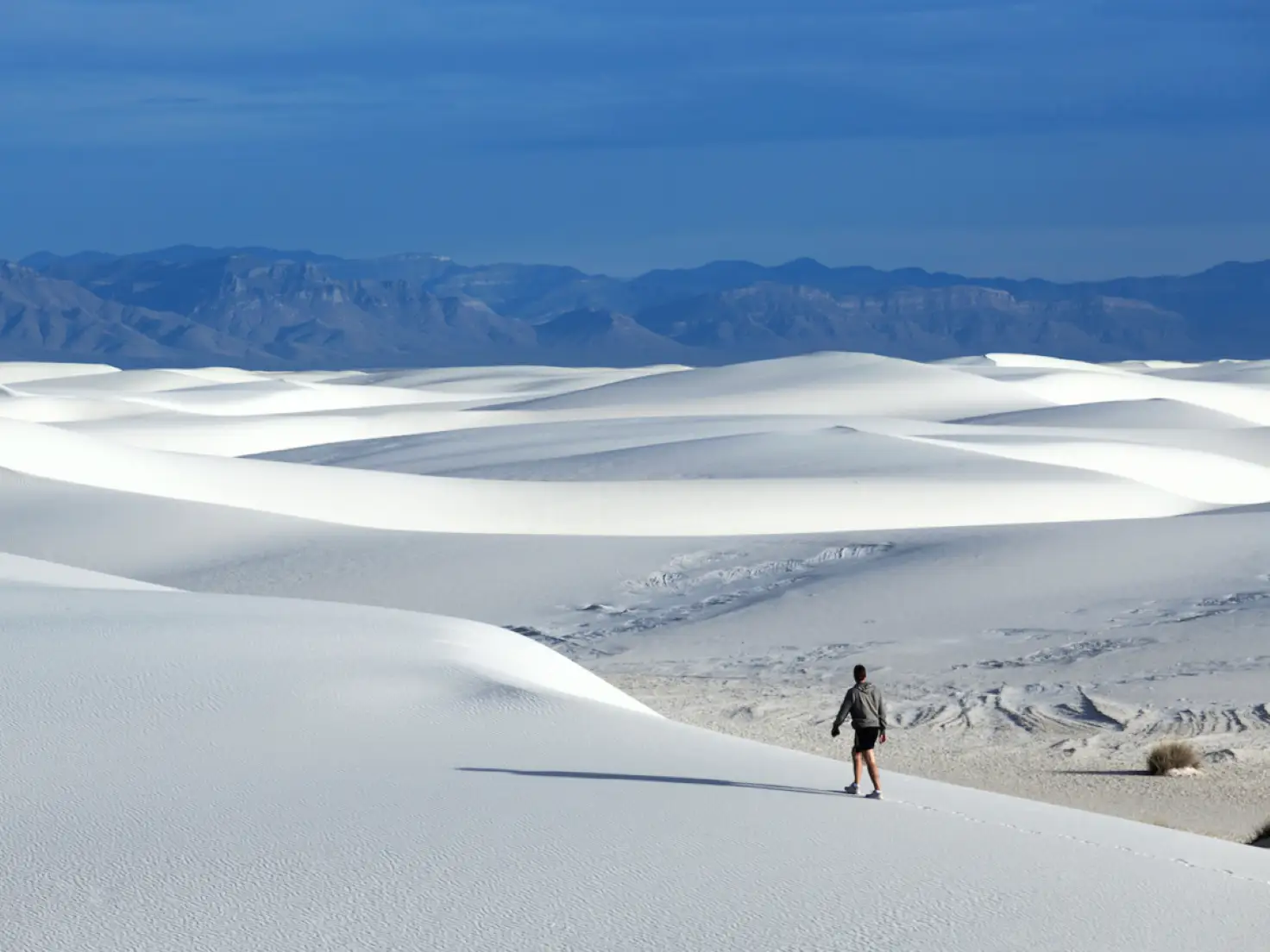 This image has an empty alt attribute; its file name is White-Sands-National-Park-New-Mexico.webp