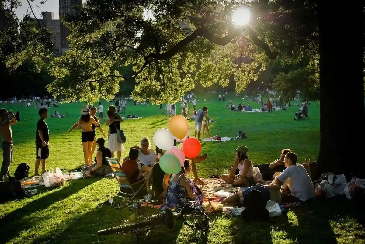 Francisco Park & North Beach Picnic Combo