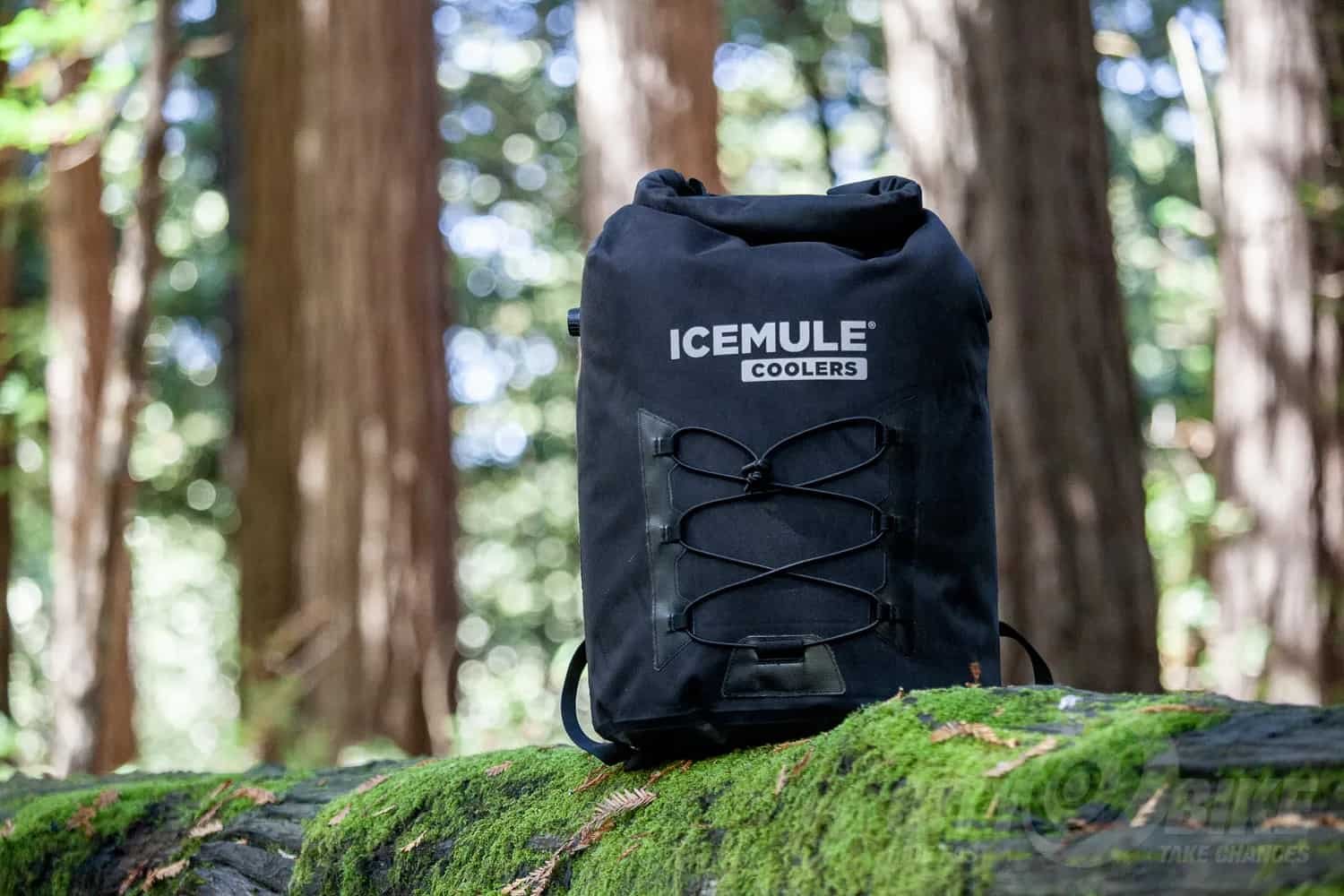 ICEMULE Pro (Large ~23L) — The Roll-Top Backpack Cooler